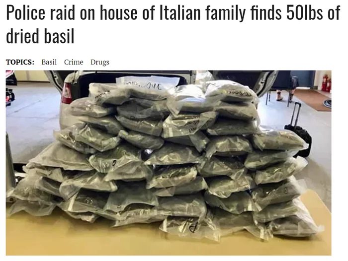 Great news [Fake] - Police, Roundup, Search, Drugs, Condiments, Basil, Italy, Fake news, Humor