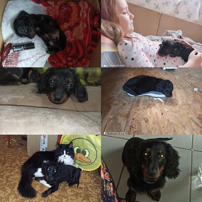 �������� ������� �����