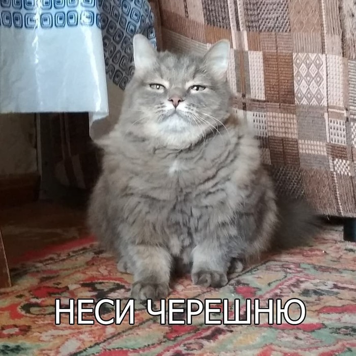   , ,   