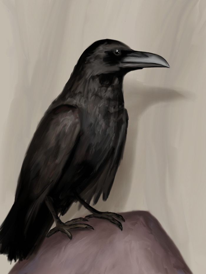 Nevermore ,  , , 