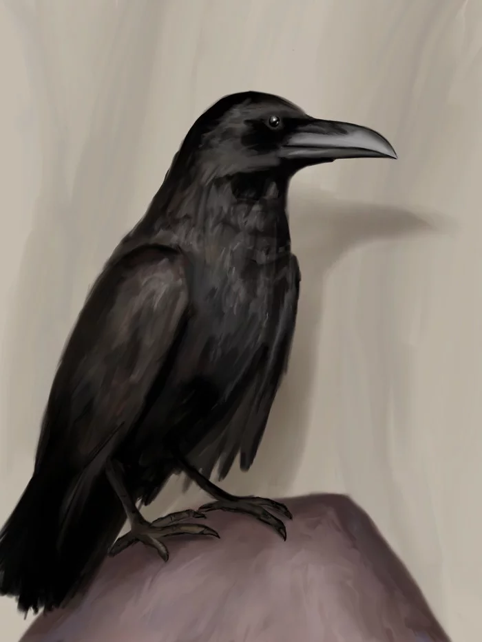 Nevermore - My, Drawing, Digital drawing, Crow, Birds