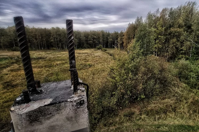 Point of view - My, Photo on sneaker, Nature, Work, Longpost, Thoughts