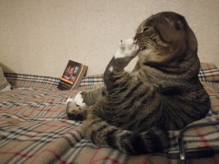  .,  , , , 