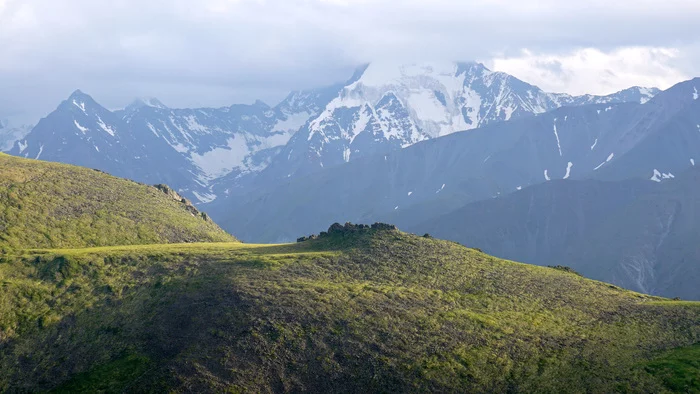 Ak-Oyuk is an Altai peak in the Belukha Mountain region, located in the watershed of the Akkem and Kucherla rivers - My, Altai Republic, The mountains, Sony, Landscape, wildlife, The nature of Russia