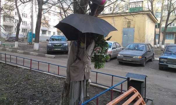 Dog's head on a tree and a hanging pig - Belgorod, Longpost, Beautification, Courtyard, Old toys, cat