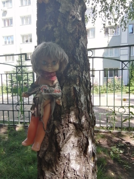 Dog's head on a tree and a hanging pig - Belgorod, Longpost, Beautification, Courtyard, Old toys, cat