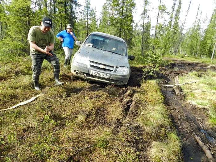 Let's get home! The swamping swamp... Part 2. Patriot Niva and Duster, PerekatiKolsky 4x4 Murmansk - My, Kola Peninsula, Auto, Adventures, Travels, 4x4, Jeep, Road, Murmansk, Video, Longpost