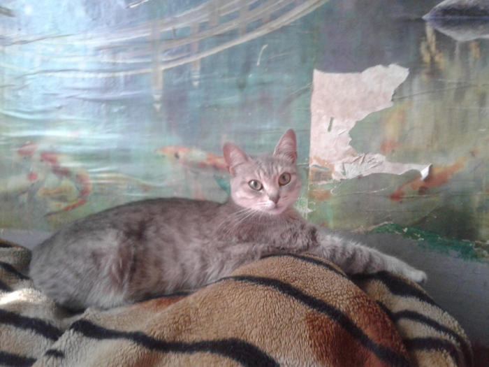 �������� ������ �����