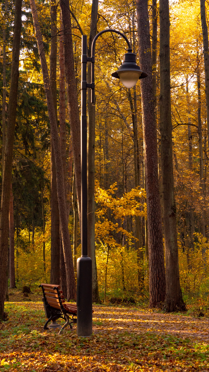 На ваш суд. Проба себя в фото