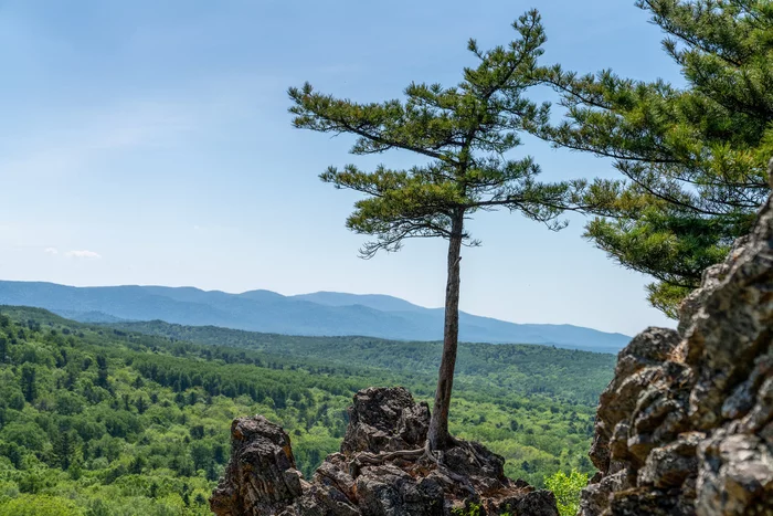 View from the hill of the Khekhtsir Nature Reserve - My, The photo, Hekhtsir, Nature, The mountains, Beginning photographer, Longpost, Khabarovsk, Дальний Восток, Taiga