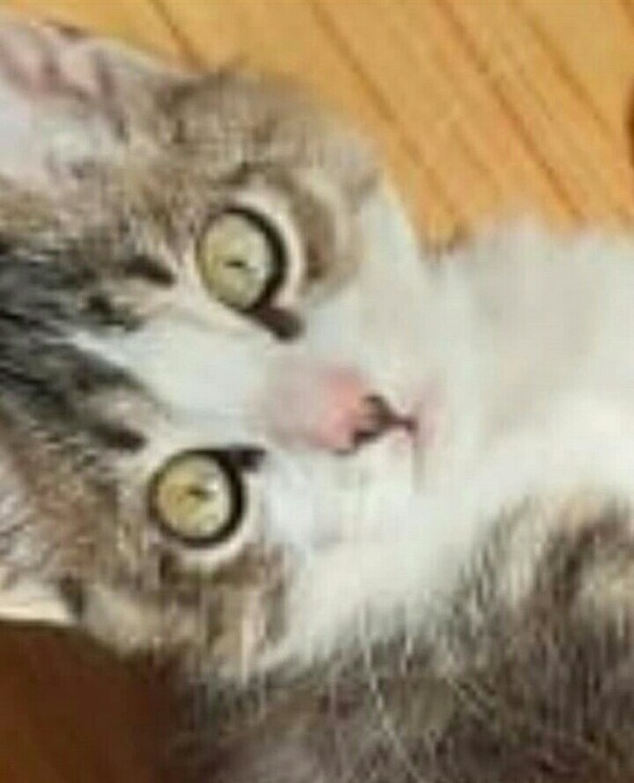 Ищу подругу для общения и прогулок