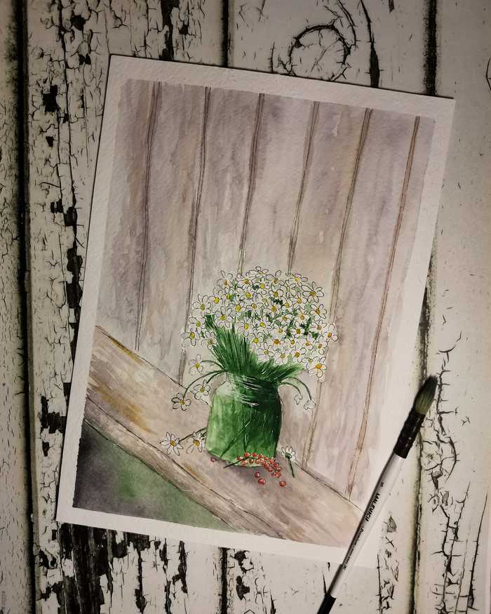 Ромашки акварелью