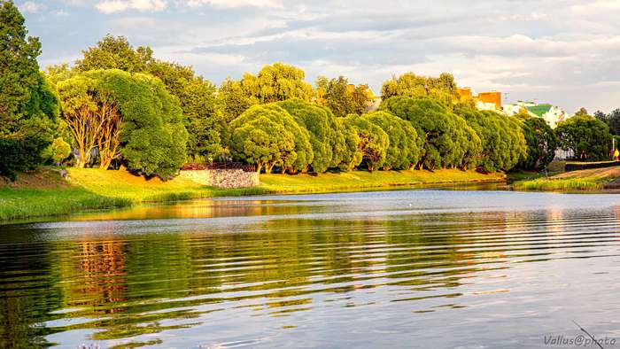 Broccoli - My, The photo, Pskov, Humor, Landscape, Sunset