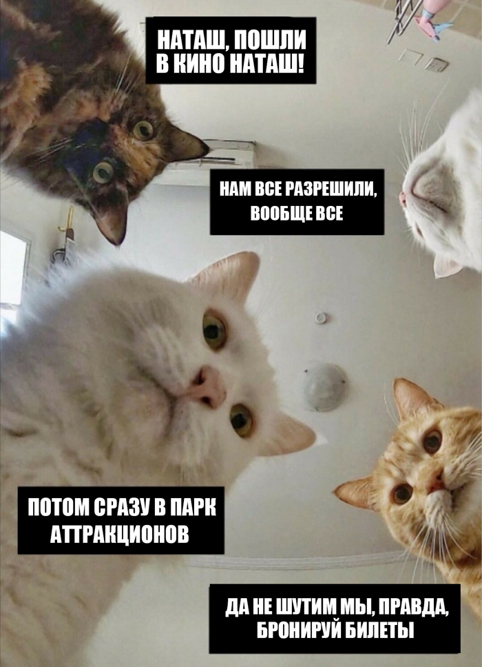 Наташ, все встали и ты вставай