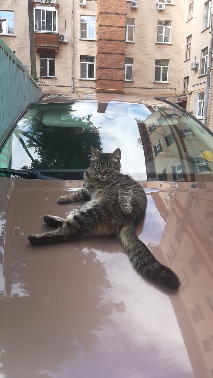 ��� � ����� ��������