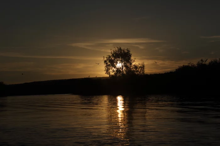 Sunset on the Volga - My, Sunset, Evening, Summer, Canon 600D, 18-55 kit, Beginning photographer, Volga river