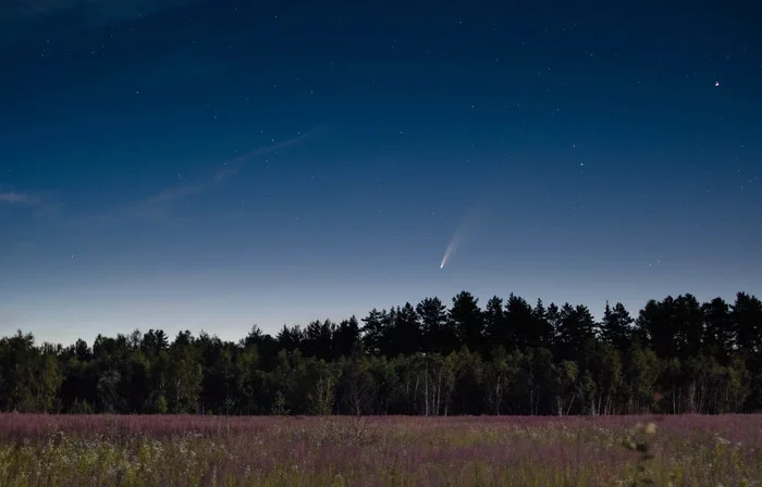 Observing Comet C/2020 F3 Neowise - My, Sky, Landscape, Comet, Nikon, Nikon d7000, Longpost, Neowise