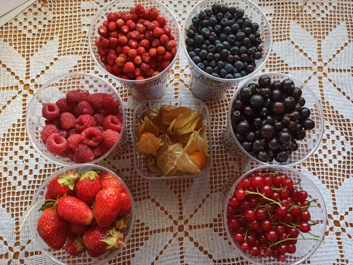 Plans for the evening - My, Berries, Strawberry (plant), Raspberries, Currant, Physalis, Blueberry