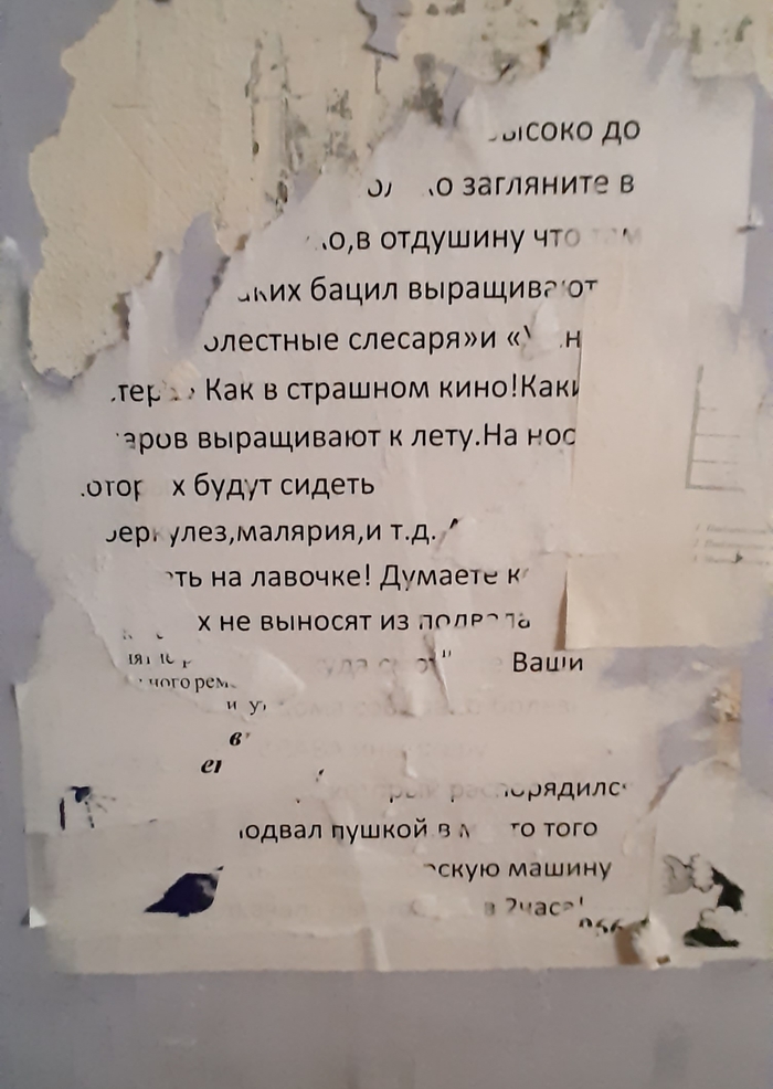 "В отдушину бацил выращивают "