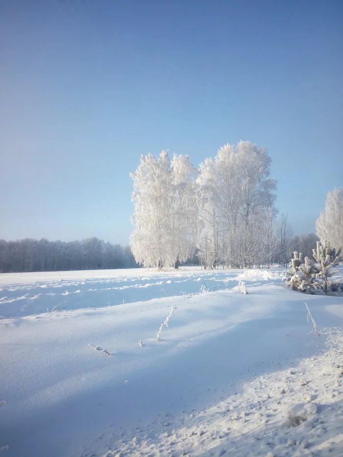 A little winter to you. Cool down, carbon fibers. - My, Winter, The photo, freezing, The sun, Fog, Longpost