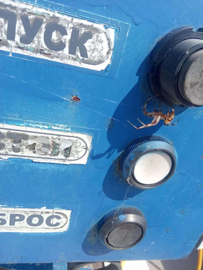 Whose gas station is this now? - Spider, Changed my mind