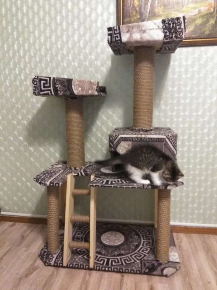 Кошачий дом своими руками для дома и дачи,кошкин дом