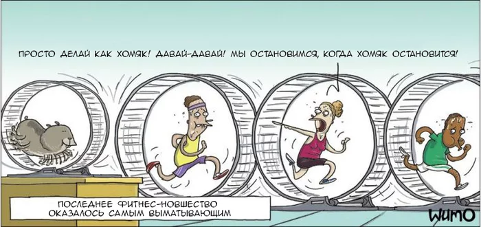 Fitness - Wulffmorgenthaler, Comics, Translation, Fitness, Hamster, Running wheel