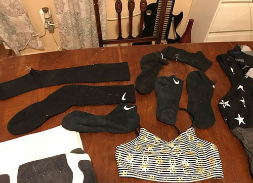 The burglar who stole clothes turned out to be a cat - cat, Theft, Curiosity, Shame, Video, Longpost, Theft
