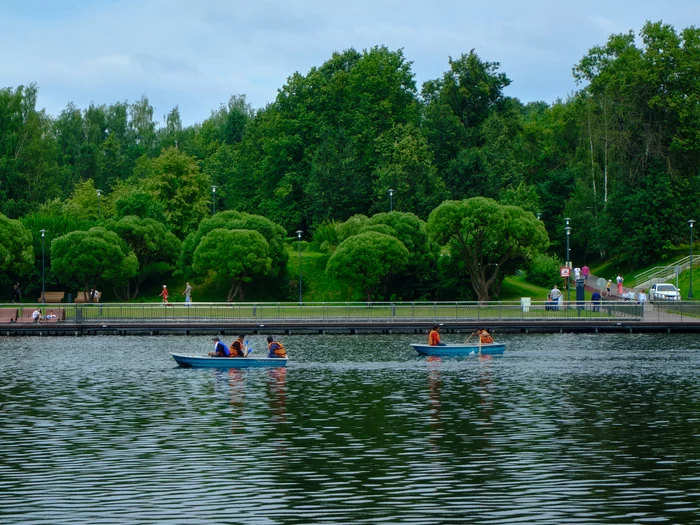 Regatta - My, The photo, Zelenograd, Angstrom, Pond, A boat, Regatta, Greenery