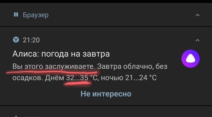 Судный день ближе чем кажется - Моё, Пассивная агрессия, Яндекс Алиса, Кожаные ублюдки, Судный день, Восстание машин, Ненависть