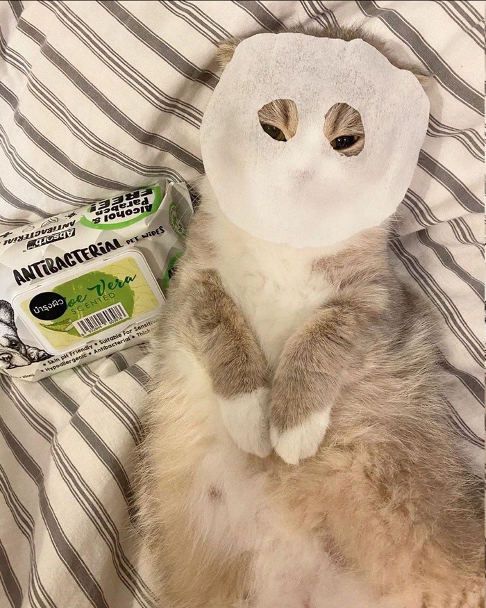 Масочный режим