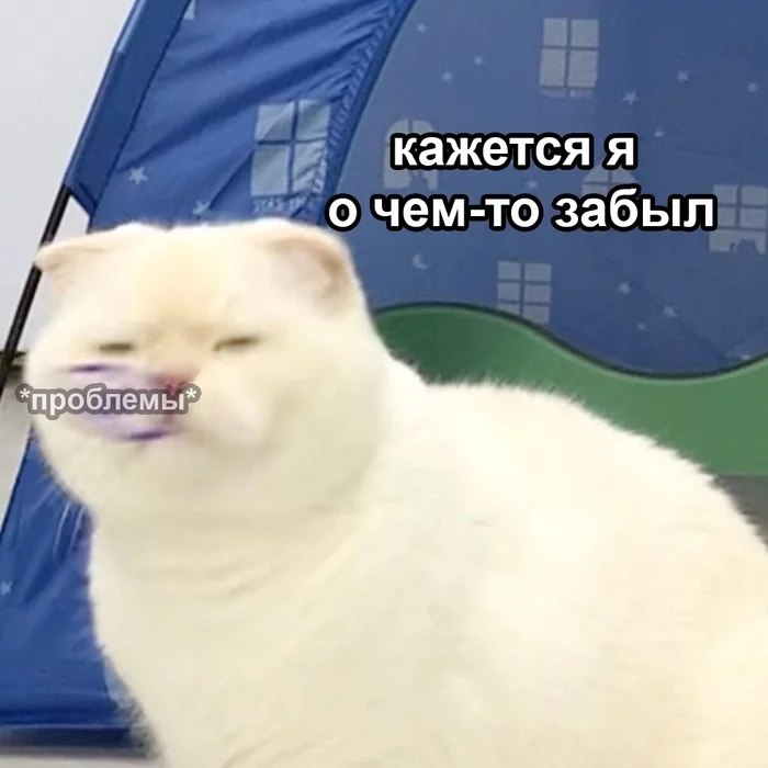 When you're relaxed, but life isn't - cat, Pets, Memes, Humor, Picture with text