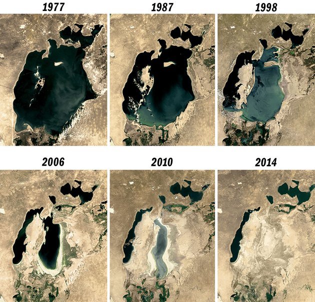 What is more environmentally friendly - natural or artificial? - My, Ecology, Aral Sea, Paper, Wood, Longpost