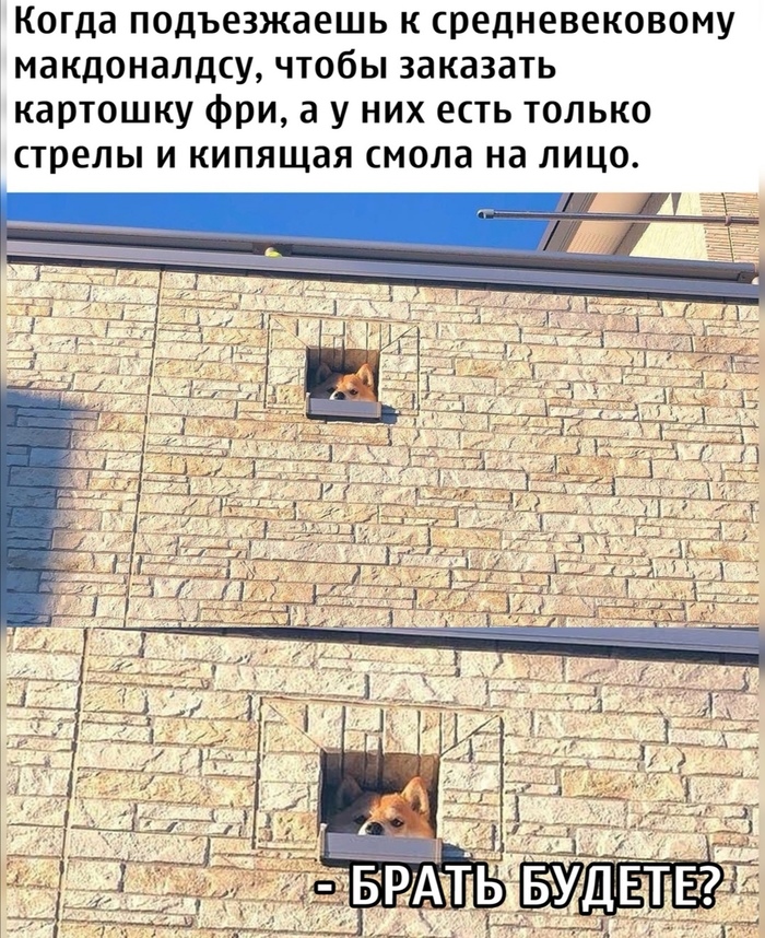 Когда он подъезжал к заднему двору егорушка. Егорушка напряг своё зрение, чтобы получше рассмотреть его. Русский язык 8 класс упражнение 332. Спп с параллельным подчинением. Шутки про тазы.