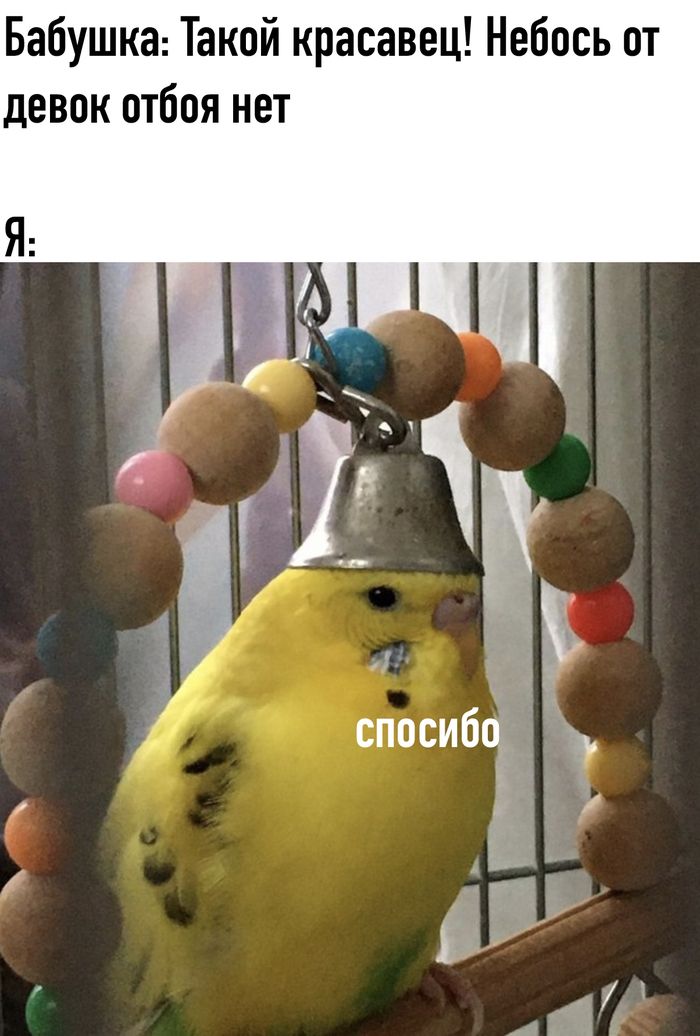 ������� ����� �� ������!