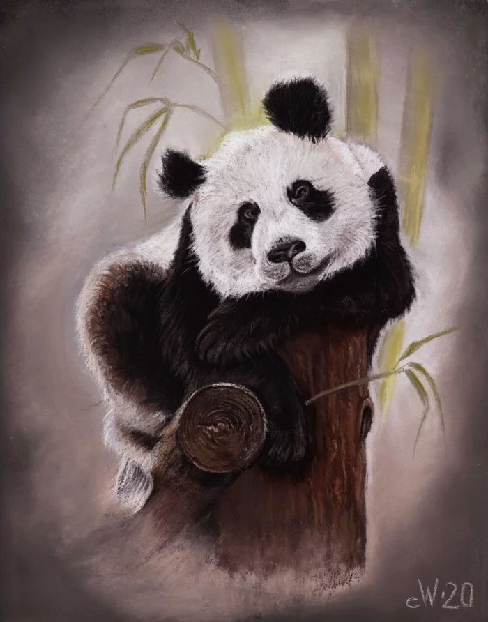 Cute panda with pastel crayons - My, Art, Pastel, Animalistics, Drawing, Artist