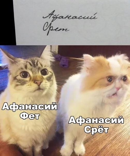 Afanasy... - Athanasius Fet, Rock ebol, Handwriting, cat, It seemed