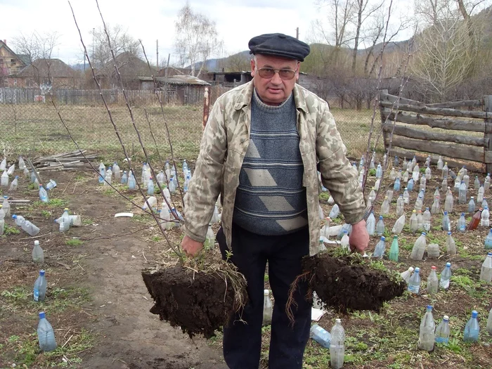 Retirement is a second youth - My, Retirees, Dacha, Work, Garden, Gardening, Siberia, Old age, Youth, Longpost