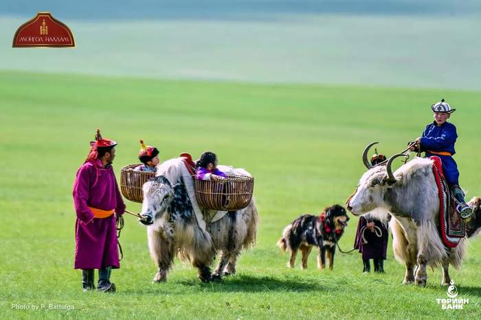 Серия постов про Монголию. Часть Бонусная: Наадам Монголия, Праздники, Длиннопост, Видео
