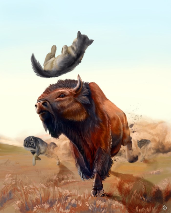 ��� ����� ���.. �� � ���� ������!