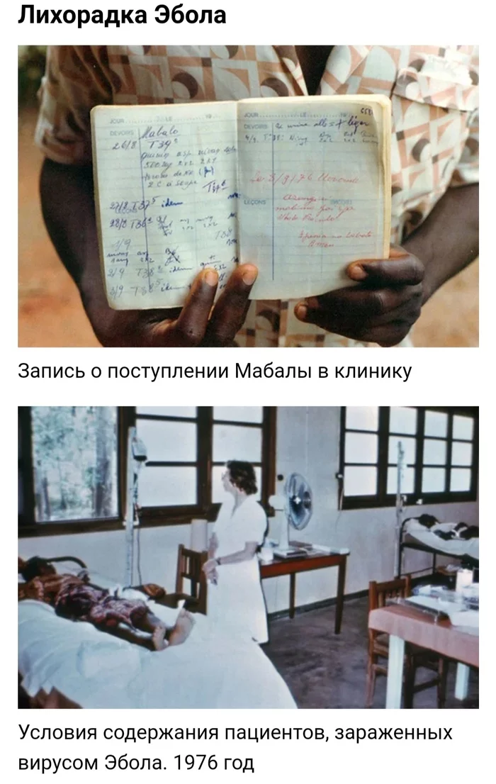 Нулевые пациенты или три истории о людях, ставших причиной смертельных эпидемий Истории, Болезнь, Эпидемия, Нулевой пациент, Факты, Длиннопост