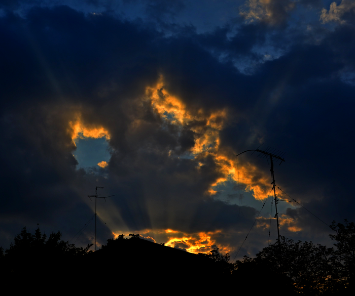           , Nikon d3100