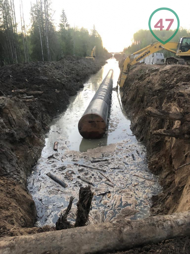 The prosecutor's office, the Investigative Committee and Rosrybolovstvo did not find any pollution in the Khrevitsa River during the construction of the inlet to Nord Stream 2 by a Gazprom contractor. - A fish, Pollution, Video, Longpost, Vertical video, Nord Stream-2, Leningrad region