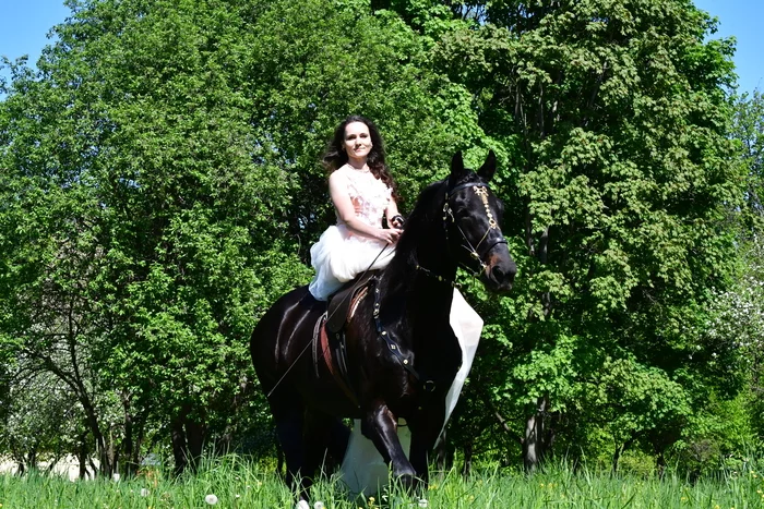 Photo session on horseback - My, PHOTOSESSION, The photo, Horses, On horseback, Saint Petersburg