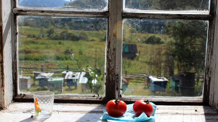 Отшельник... Отшельники, Одиночество, Человек, Тайга, Башкортостан, Деревня, Урал, Видео, Длиннопост Отшельник... Отшельники, Одиночество, Человек, Тайга, Башкортостан, Деревня, Урал, Видео, Длиннопост