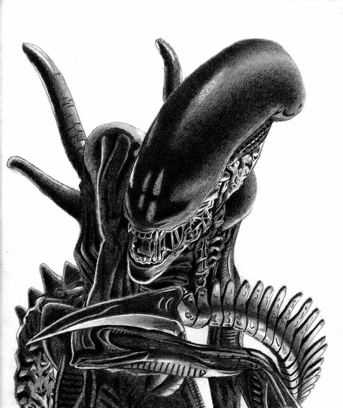 Xenomorph - Art, Xenomorph, Stranger