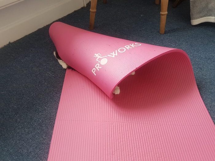 Инструктор по йоге спрятался