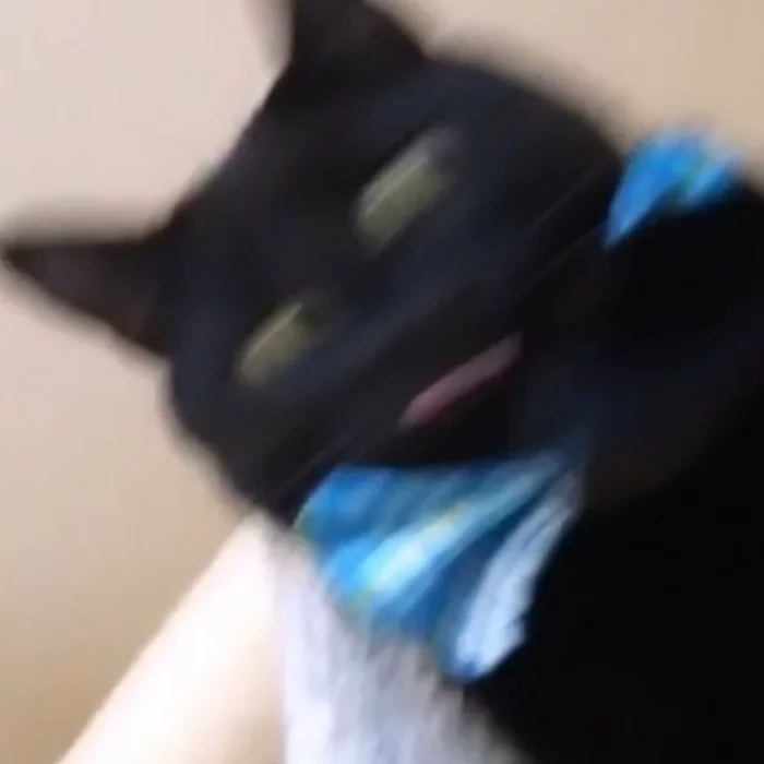Sketches of shitty blurry cats. Part 2 - My, Friday tag is mine, cat, Drawing, Illustrations, Humor, Sketch, Animals, Funny animals, Longpost