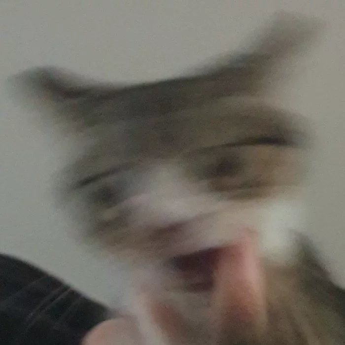 Sketches of shitty blurry cats. Part 2 - My, Friday tag is mine, cat, Drawing, Illustrations, Humor, Sketch, Animals, Funny animals, Longpost
