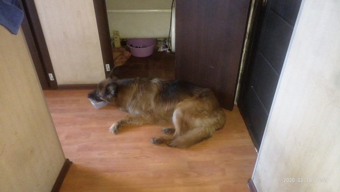 ������ ��� ����, ������!